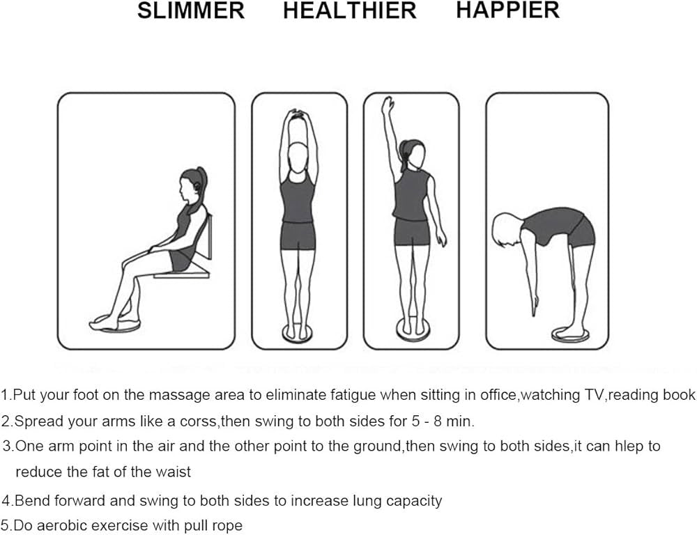 Disc fitness twister