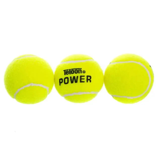 https://cdn.shopify.com/s/files/1/0821/0196/0982/files/263897209.webp?v=1734541584