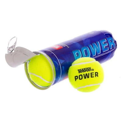 https://cdn.shopify.com/s/files/1/0821/0196/0982/files/263897219.webp?v=1734541584