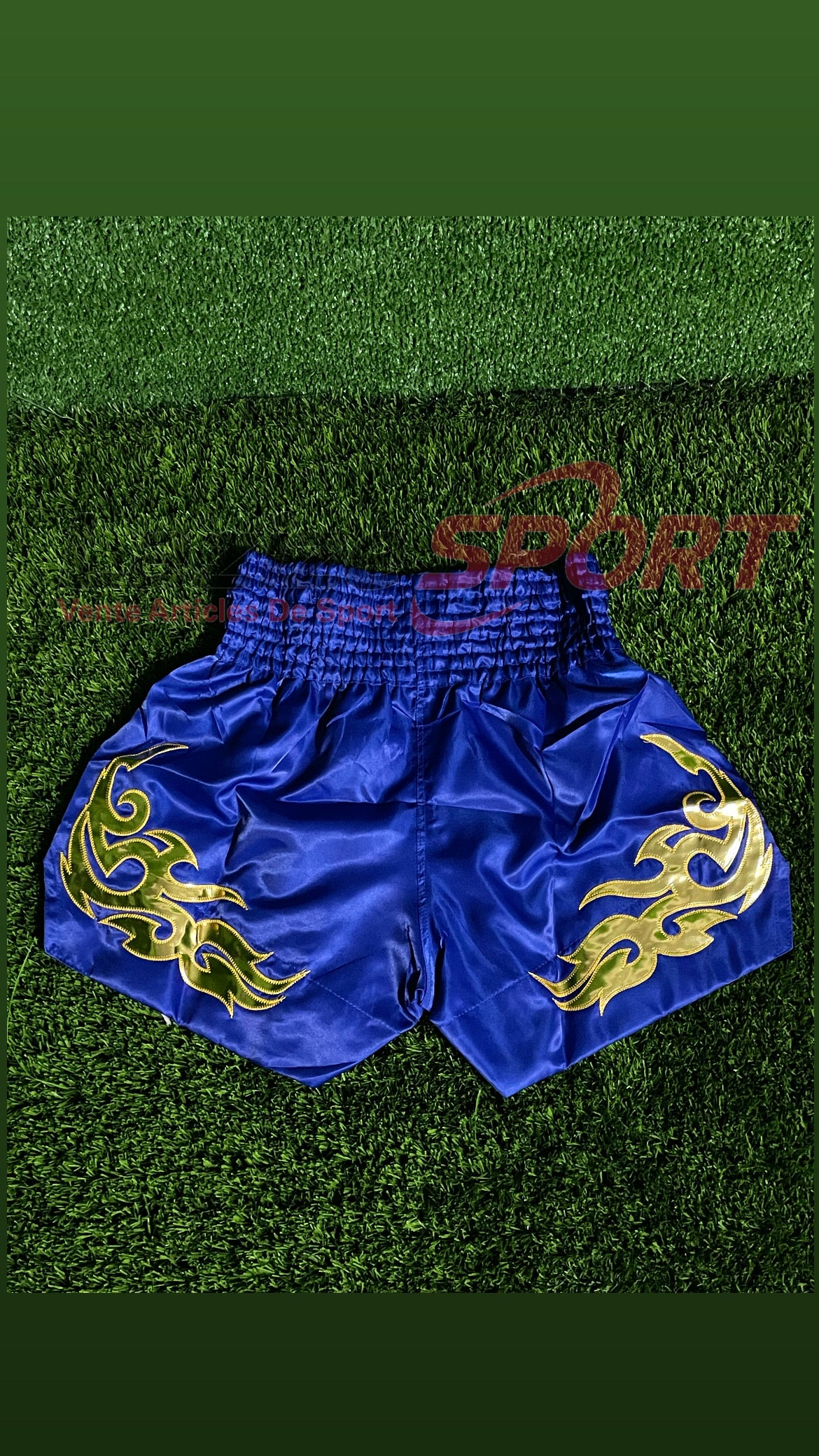 Shorts kick boxing