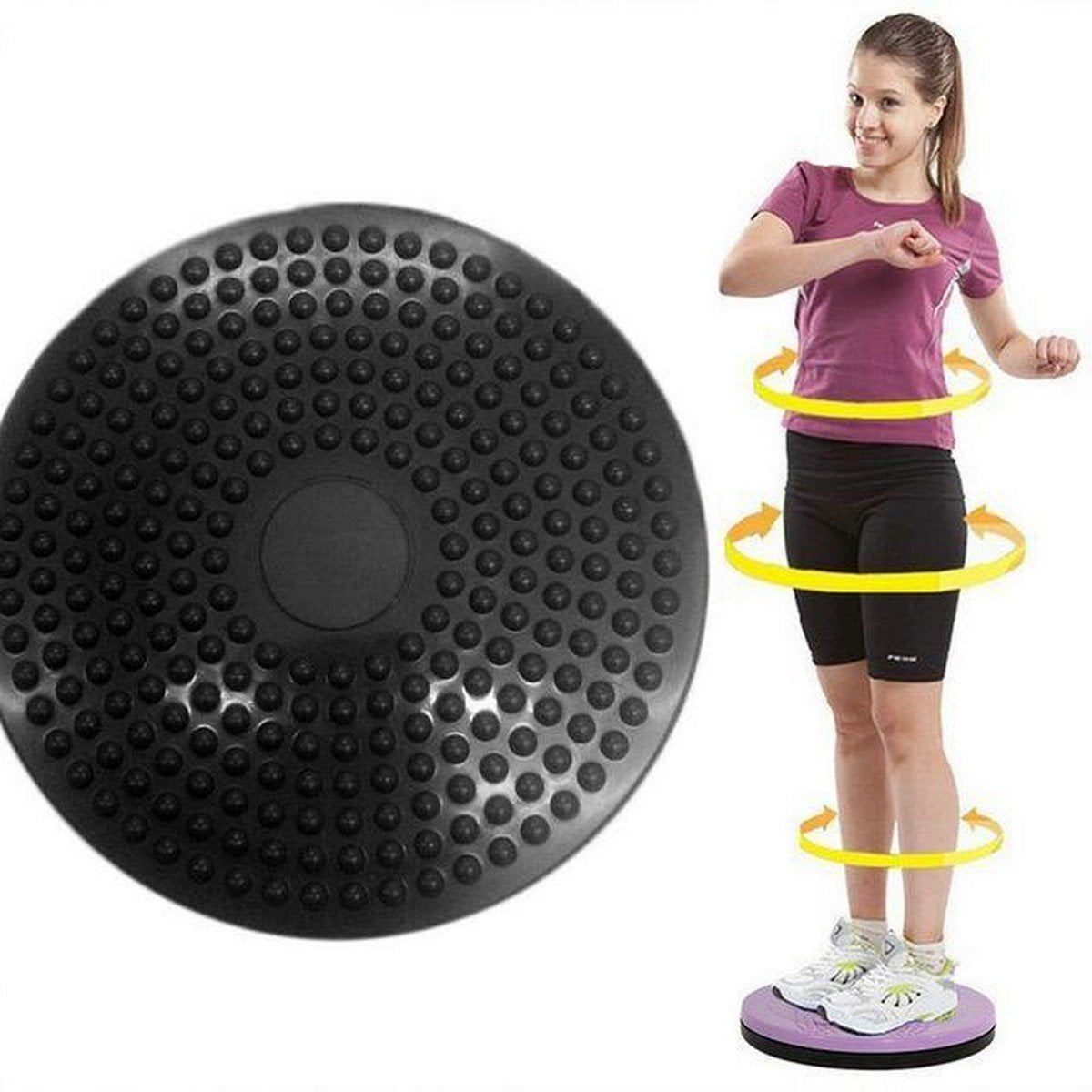 Disc fitness twister