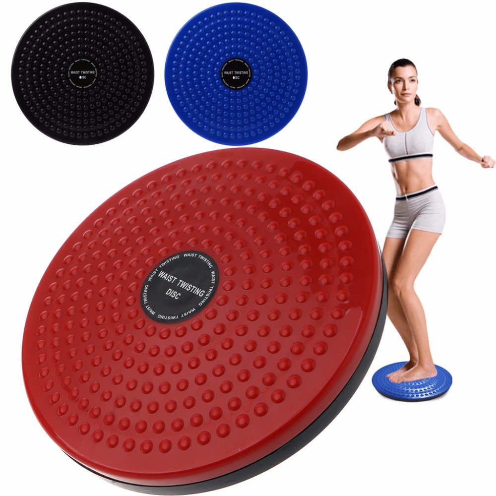 Disc fitness twister